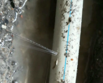 张湾卫生间测漏水多少钱